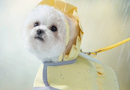 Dog raincoat(angel style)