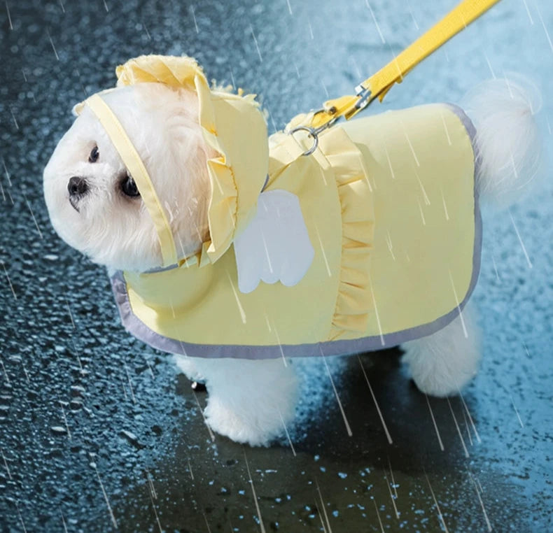 Dog raincoat(angel style)